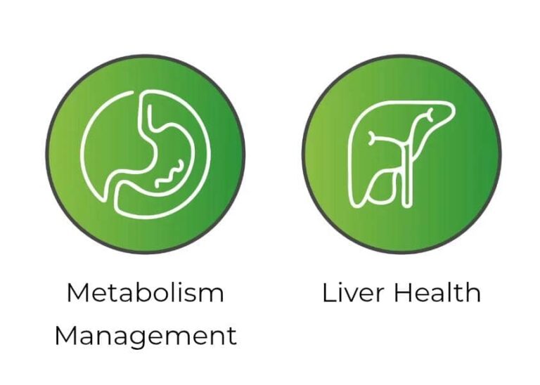 METABOLISM AND LIVER HEALTH